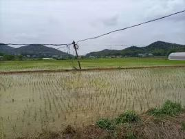 生活趣事范文_生活看趣事_生活趣事感悟